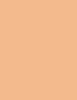 BOURJOIS Paris Always Fabulous 24H Makeup SPF20