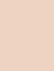 BOURJOIS Paris Always Fabulous 24H Makeup SPF20