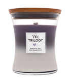 WoodWick Trilogy Amethyst Sky Scented Candle